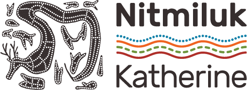 nitmiluk tours promo code